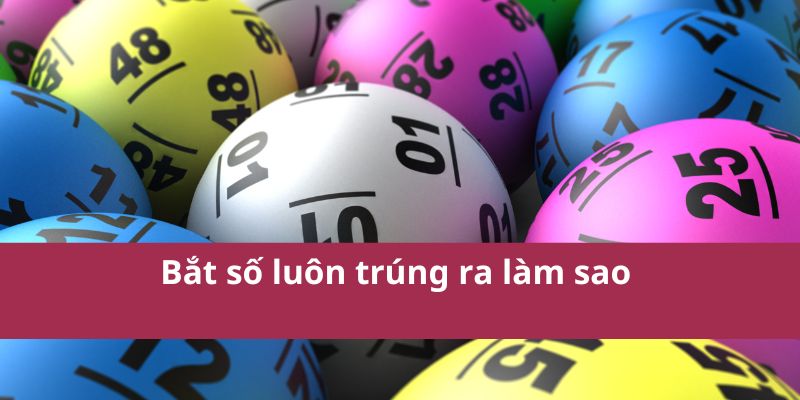 Cách Chơi Lô Câm Và Những Điều Cần Biết Về Lô Đề 3 Bắt số luôn trúng ra làm sao